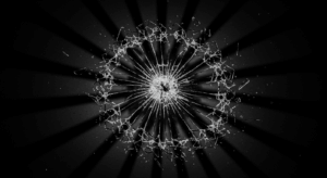 nozox